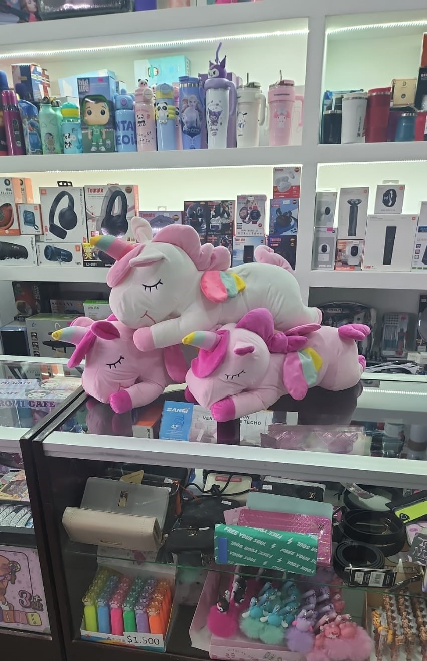 Bolso