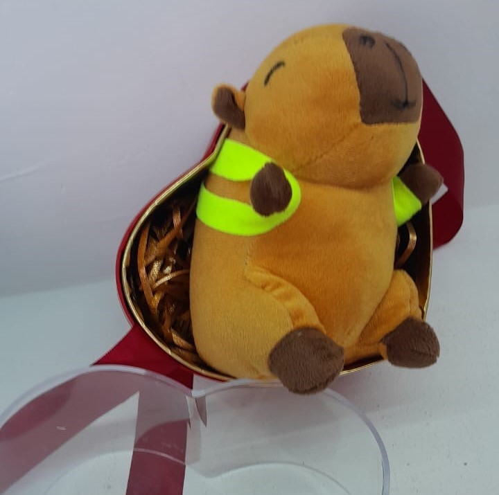 Bolso