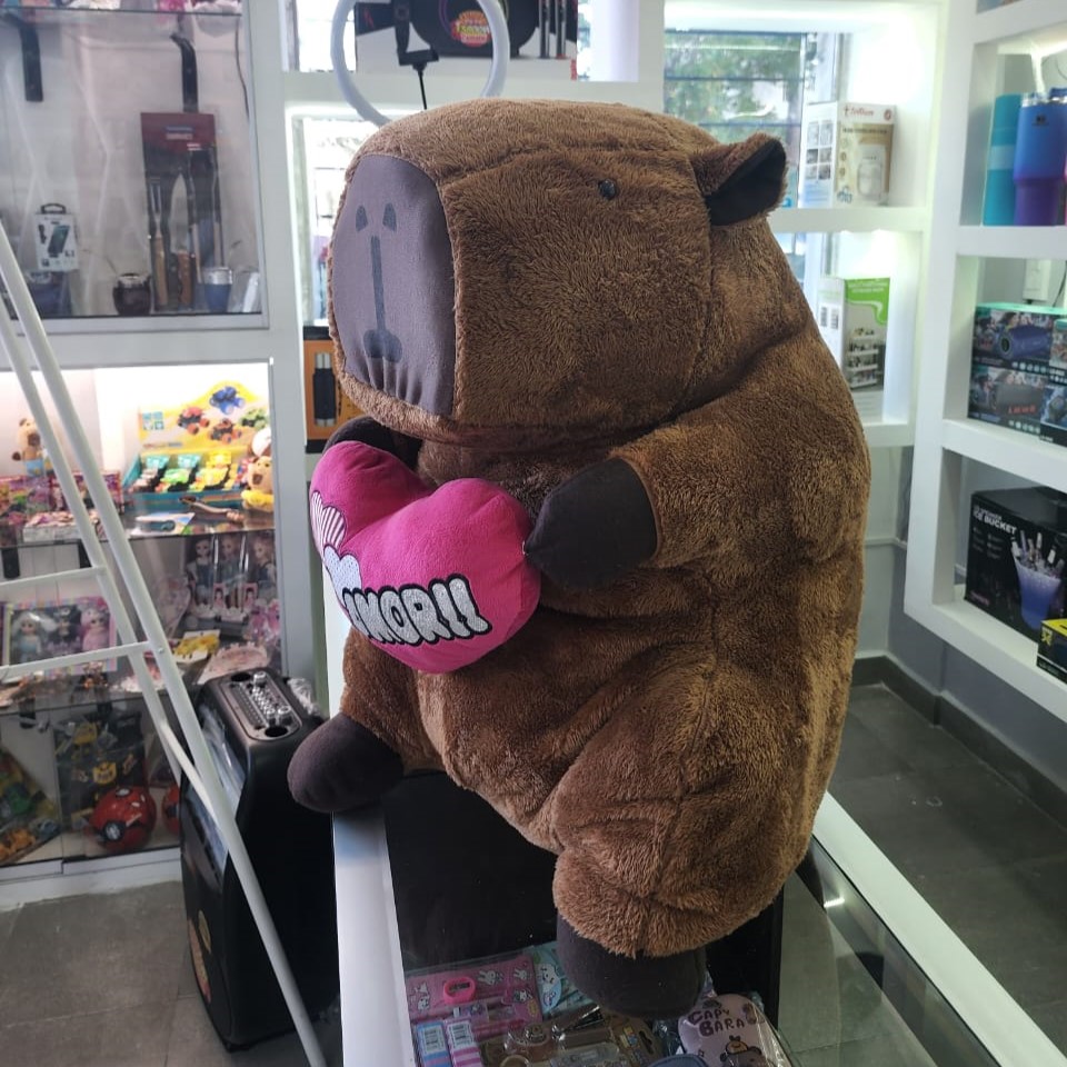 Bolso